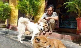 Hơn 1 tỷ đồng tài trợ để người Hội An nói không với thịt chó, mèo 