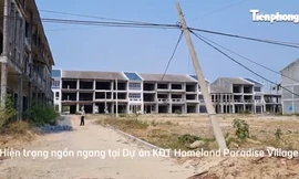 Cận cảnh dự án đô thị xanh kiểu mẫu 4.250 tỷ ở Quảng Nam 'phơi sương'