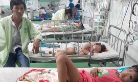 Quảng Nam: Bốn mẹ con bị đàn ong vò vẽ đốt phải nhập viện 