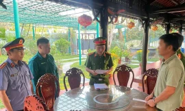 Một thương lái buôn hơn 1 triệu tấn gỗ keo bị bắt vì trốn thuế hàng chục tỷ đồng