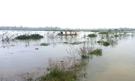Lật ghe khi đánh bắt cá trong đêm, hai mẹ con tử vong