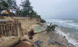 Cảnh báo sóng cao, gió lớn vùng biển Cửa Đại - Cù Lao Chàm, sạt lở bờ biển 