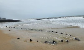 Tàu cổ trồi lên ở bờ biển Hội An: 'Bảo vật' cực kỳ hiếm hoi 