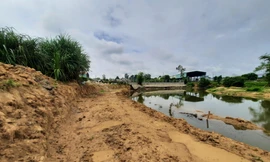 Chiếm hơn 4.800m2 đất phi nông nghiệp, một công ty ở Quảng Nam bị phạt 140 triệu đồng