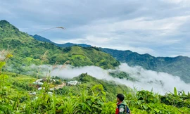 Đường đến trường 'dưới chân sỏi đá, trên đầu là mây' của em nhỏ vùng cao Quảng Nam