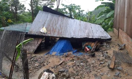 Số liệu cập nhật 110 nhà sập, gần 3.000 nhà bị hư hại tốc mái do bão số 4 tại Quảng Nam 