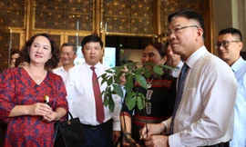 Đưa Quảng Nam thành trung tâm công nghiệp dược liệu của cả nước