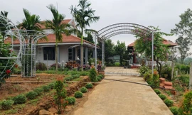 Kỷ luật khiển trách một Phó Bí thư huyện uỷ ở Quảng Nam