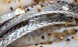 Triệu tập nghi phạm liên quan vụ thi thể nữ giới không đầu ở bờ biển