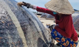 Xuyên trưa đội nắng 'khoác áo mới' cho thúng chai