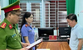 Quảng Nam: Một tổng giám đốc bị bắt vì phá rừng