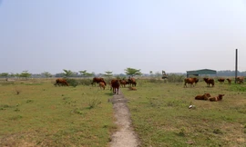 Diễn biến mới vụ tranh chấp bất động sản lớn nhất miền Trung