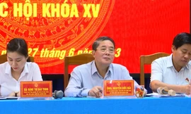 Cử tri Cù Lao Chàm: Đi lại, giao thương ách tắc vì tàu không đăng kiểm được