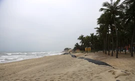 Đầu tư gần 1.000 tỷ đồng chống xói lở, bảo vệ bờ biển Hội An