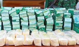 8 đối tượng người nước ngoài mang gần 200 kg ma túy vào Việt Nam