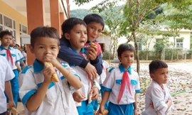 Chậm trễ triển khai, học sinh miền núi Quảng Nam chờ hết năm học vẫn không được uống sữa học đường