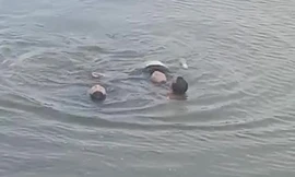 Hai người đàn ông dũng cảm nhảy xuống sông cứu người tự tử