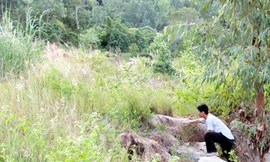 5 năm bít lối lên rẫy của dân