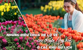 Những điều chưa hé lộ về câu chuyện trồng hoa ở các khu du lịch