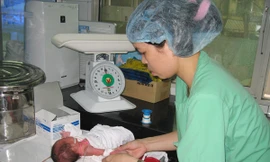 Trẻ nhẹ cân bị bệnh về máu có thể được điều trị bằng cách ghép máu cuống rốn. Ảnh: T.Hà