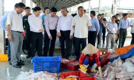 Đoàn công tác Chính phủ do Phó Thủ tướng Trịnh Đình Dũng - Trưởng Ban chỉ đạo Quốc gia về chống khai thác IUU làm Trưởng đoàn, đã đến kiểm tra việc thực hiện chống khai thác IUU trên địa bàn tỉnh Kiên Giang.