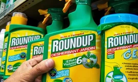 Bộ NN&PTNT loại bỏ Glyphosate ra khỏi Danh mục thuốc BVTV được phép sử dụng tại Việt Nam vì nguy cơ gây ung thư