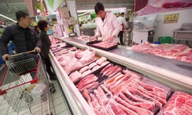 Giá lợn hơi ở Việt Nam đang tăng dần nhưng vẫn còn thấp hơn Trung Quốc khoảng 20.000 đồng/kg 