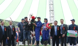 “Vương miện” Hoa hậu Bò sữa Mộc Châu năm 2019 đã thuộc về “cô” bò sữa mang số hiệu 16316 của chủ hộ Lê Xuân Tiến, tiểu khu 19/5, thị trấn Nông trường Mộc Châu, với tổng giải thưởng gần 70 triệu đồng. 