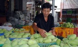 Mỹ là thị trường xuất khẩu thứ 40 của Việt Nam