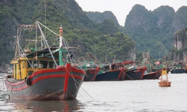 Nhiều địa phương đã cấm biển trong ngày 1/8