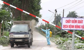 Các địa phương tăng cường kiểm soát hạn chế dịch tả lợn châu Phi lây lan