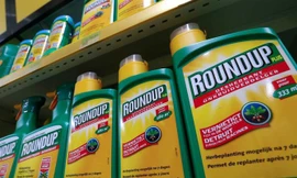 Bộ NN&PTNT chính thức loại bảo thuốc diệt cỏ Glyphosate ra khỏi danh mục thuốc BVTV được phép sử dụng tại Việt Nam