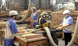Xuất khẩu gỗ và lâm sản năm 2019 vượt mốc 11 tỷ USD
