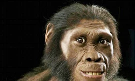 Bộ mặt nửa người nửa vượn của tổ tiên loài người