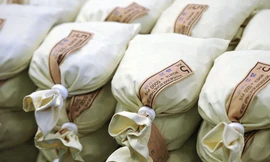 Chó được thừa kế gần 1 triệu USD