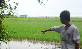 Thôn nữ sát hại bé gái 3 tuổi cướp đôi bông tai