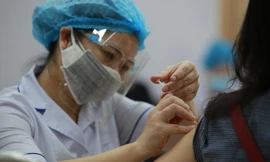Hơn 80% người từ 18 tuổi đã tiêm đủ liều vắc xin COVID-19