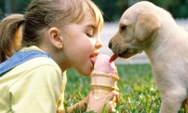 Nuôi thú cưng, chữa tự kỷ