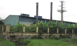 Lo ngại bệnh tật từ nông sản