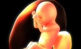 Phát hiện thai nhi cũng biết... ngáp