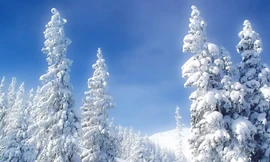 'Bà chúa tuyết' khoe nhan sắc yêu kiều