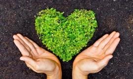 Thiên Hà ơi, Nhân văn là NHÀ, luôn bên em! 