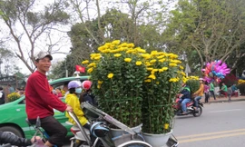 Hối hả mang xuân về nhà