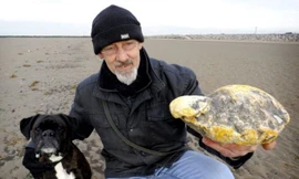 Nhặt được chất thải bằng vàng giá 3 tỷ đồng