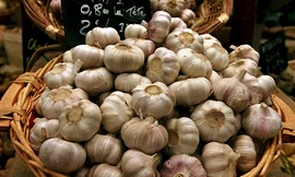 Ăn tỏi giúp làm giảm một nửa nguy cơ mắc ung thư phổi