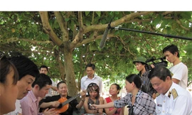 Chuyện chưa kể quanh bài hát 'Nơi đảo xa'