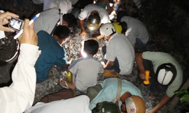 Đổ xô đi nhặt vàng