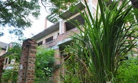 Biệt thự tiền tỉ bỏ hoang, cây cỏ dại mọc um tùm