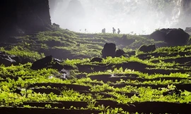 Sơn Đoòng thực sự đẹp và quyến rũ như thế nào?