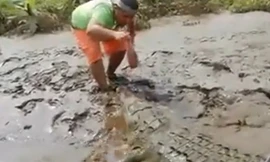 10 video ‘hot’: Người đàn ông 'câu' cá sấu bằng miệng